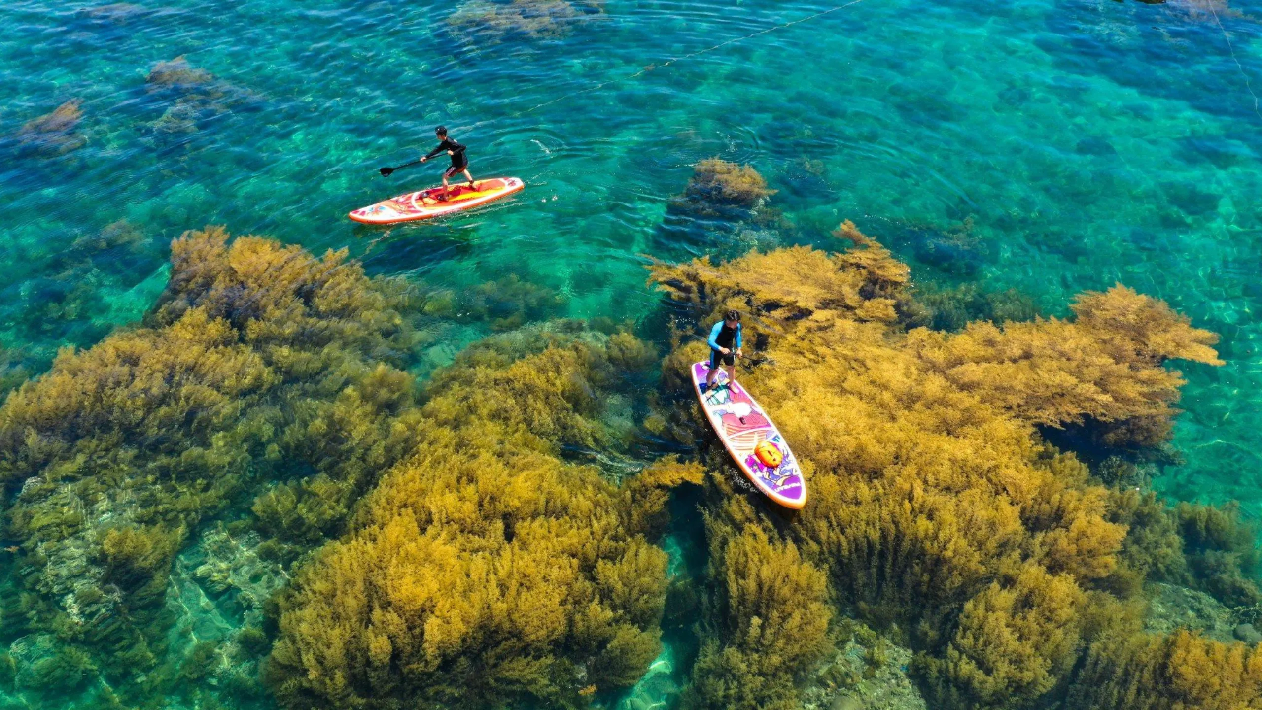 Hoạt động này không đòi hỏi quá nhiều kỹ thuật (Nguồn: sưu tầm)