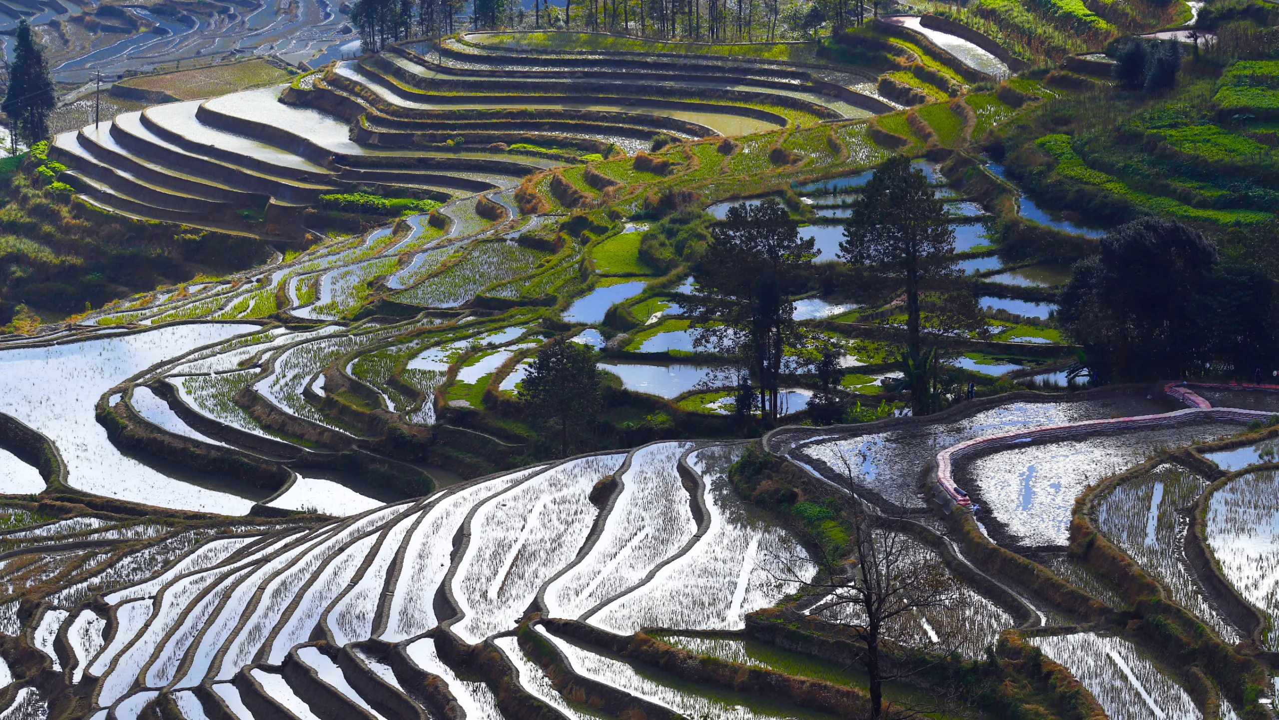 Điểm trekking nổi tiếng với những thửa ruộng bậc thang tuyệt đẹp, uốn lượn mềm mại bên các sườn đồi (Nguồn: sưu tầm)