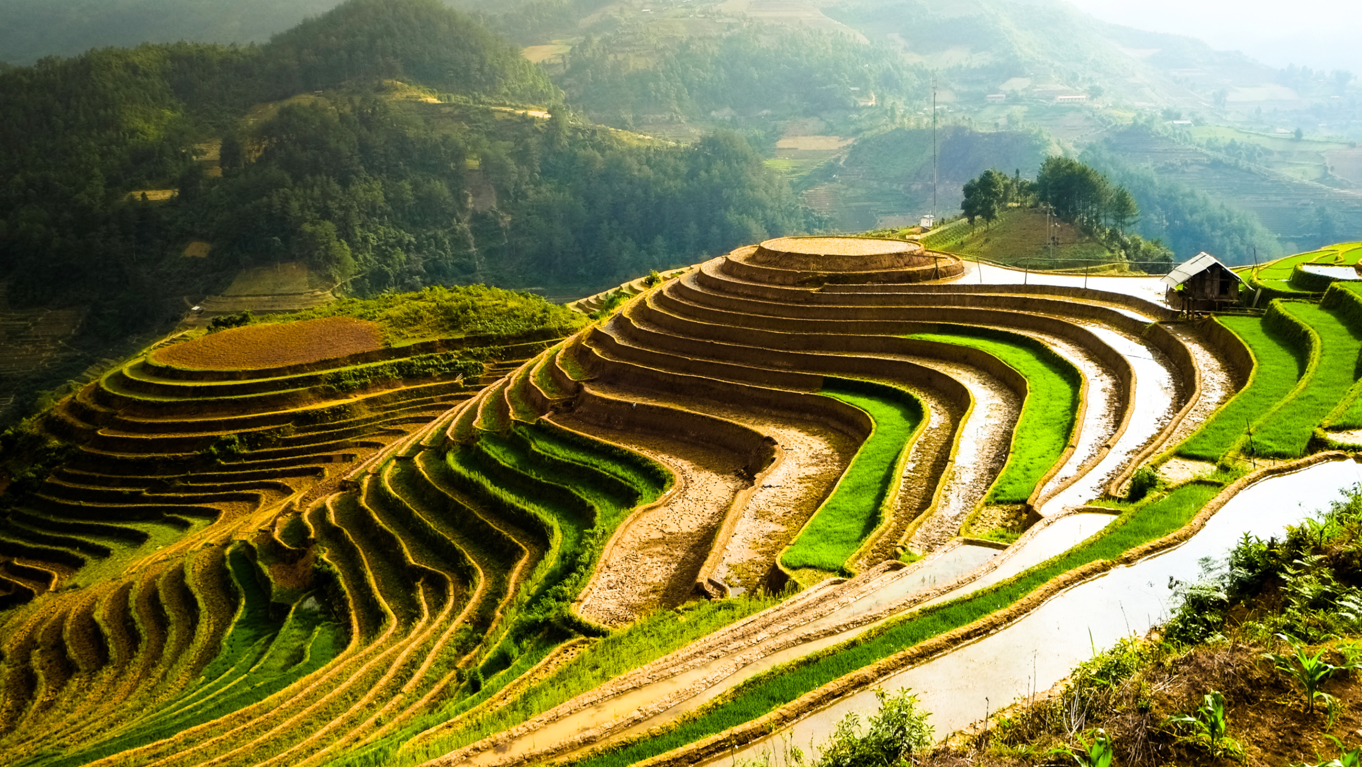 Lào Cai mùa nước đổ