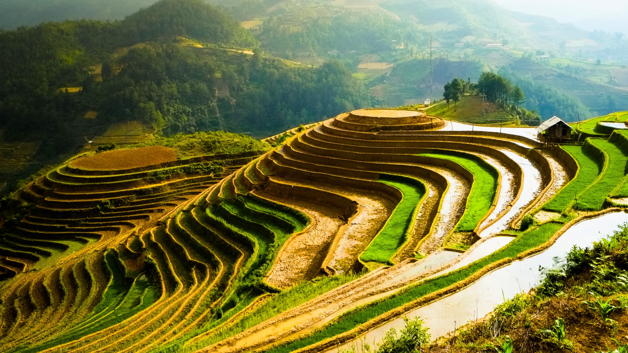 Đến Mường Hum ngắm nhìn ruộng bậc thang lấp lánh như gương, phản chiếu mây trời (Nguồn: sưu tầm)