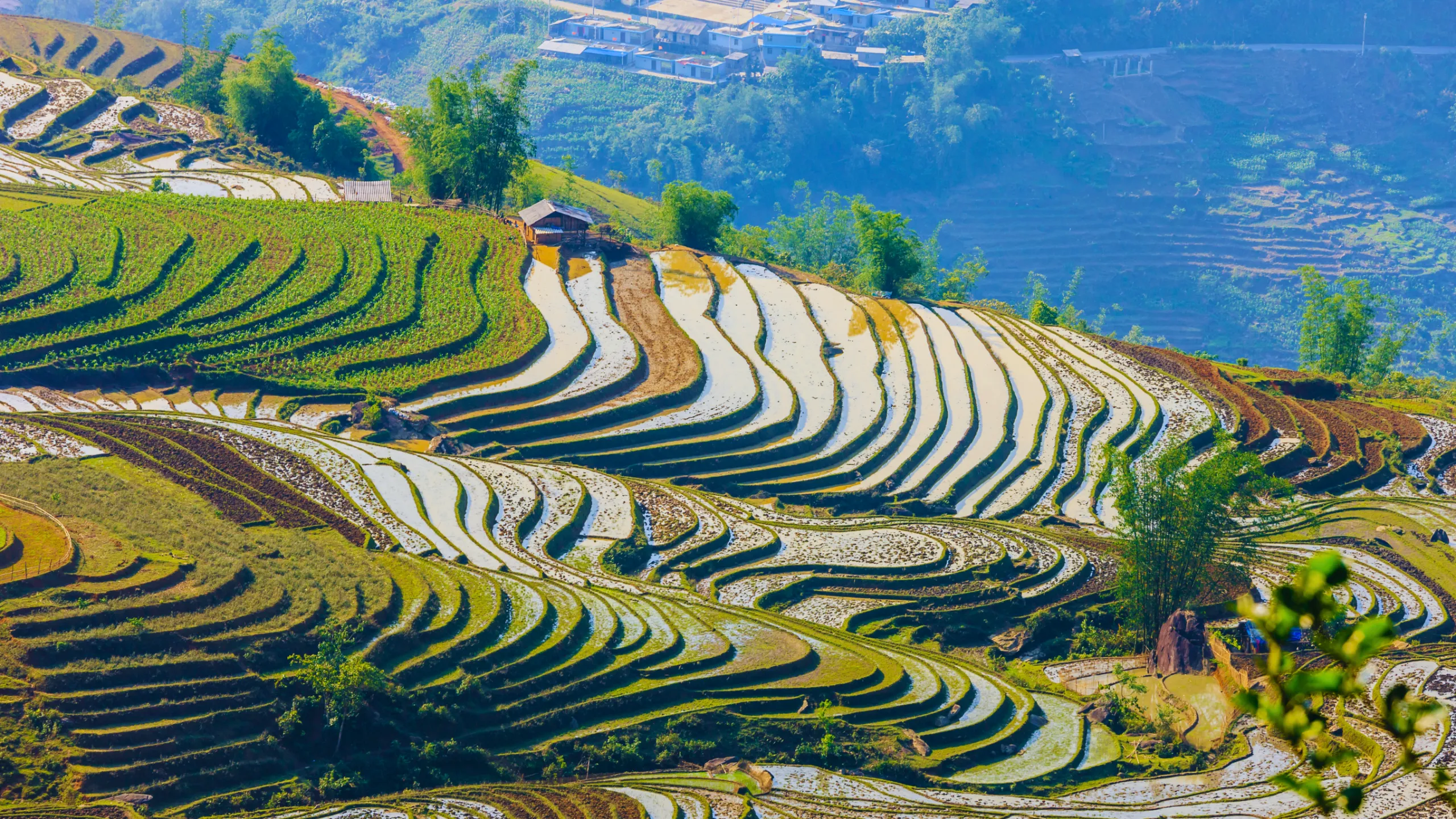 View nhìn toàn cảnh những thửa ruộng yên bình, thi vị (Nguồn: sưu tầm)