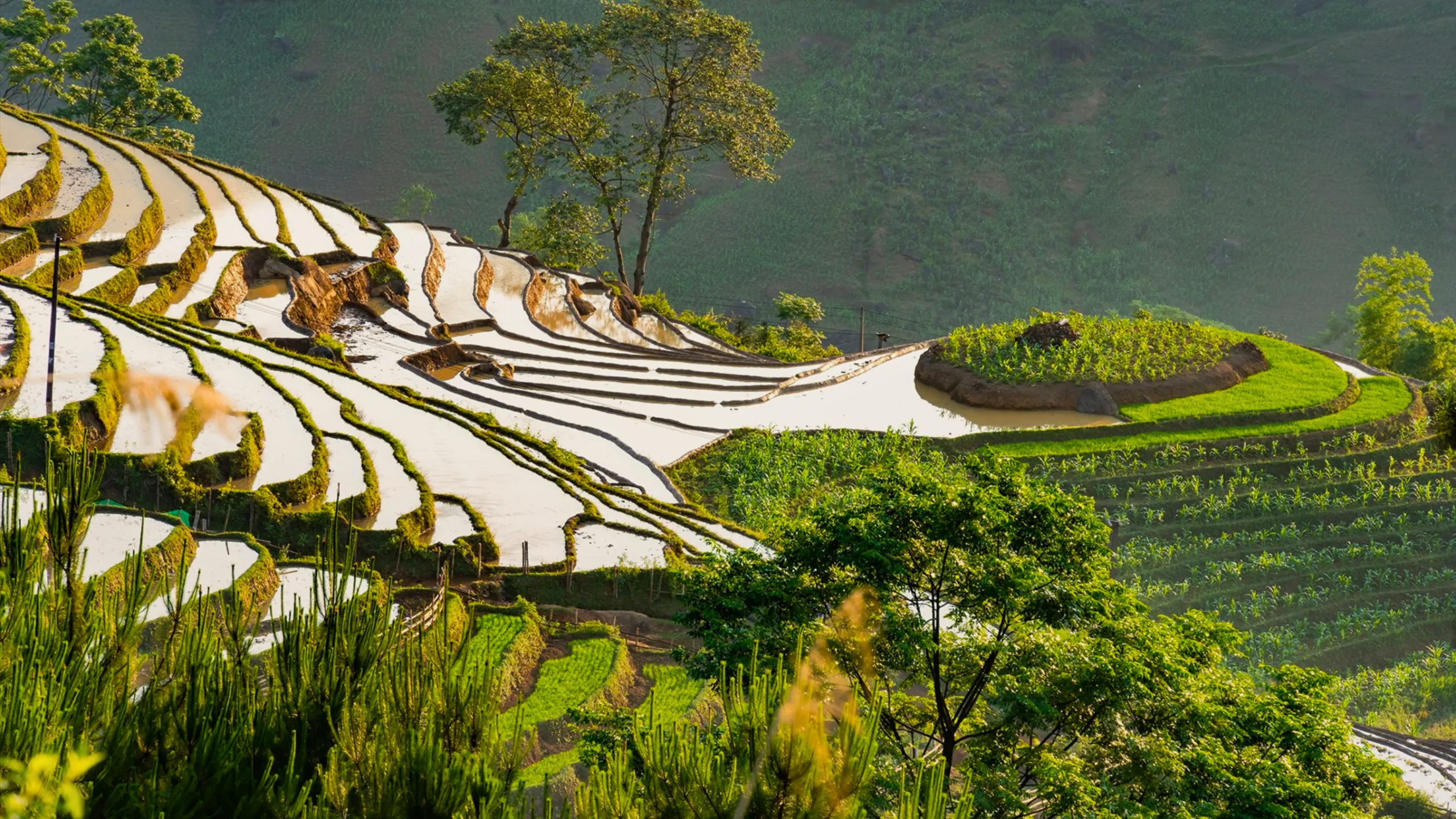 Địa điểm lý tưởng chiêm ngưỡng vẻ đẹp của những thửa ruộng bậc thang mùa nước tràn đồng (Nguồn: sưu tầm)