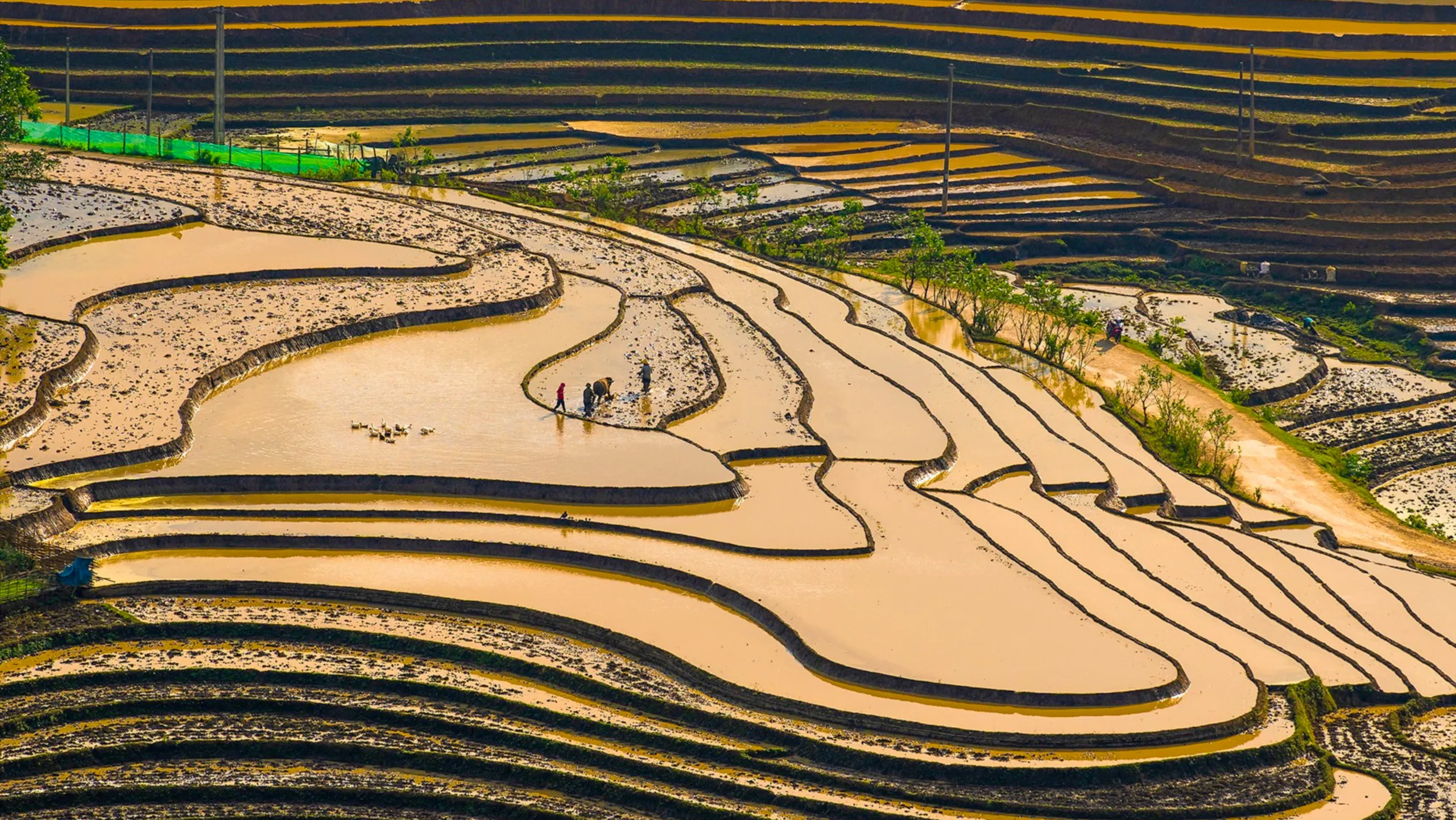 Bản làng yên bình có thể thưởng ngoạn vẻ đẹp nên thơ của ruộng bậc thang đặc trưng tại miền núi Tây Bắc (Nguồn: sưu tầm)