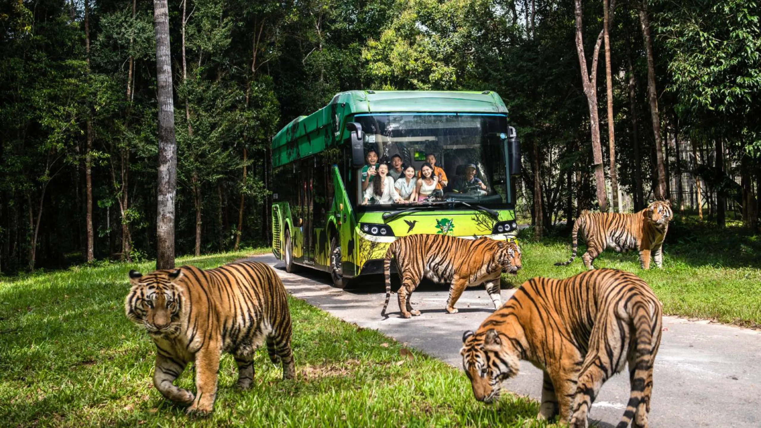 Công viên chăm sóc và bảo tồn động vật bán hoang dã lớn nhất Việt Nam (Nguồn: sưu tầm)