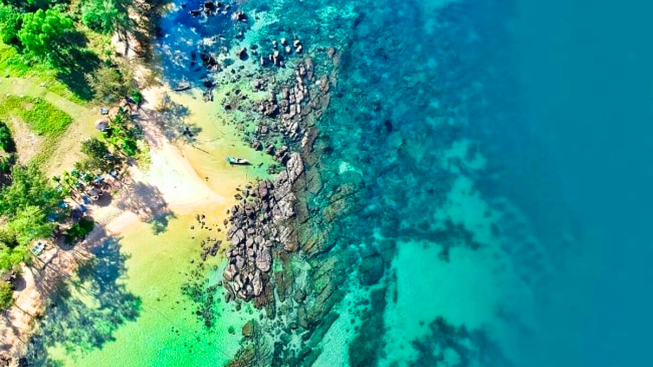 Một bãi biển hoang sơ với cát mịn, hàng dừa xanh mát và làn nước trong vắt (Nguồn: sưu tầm)