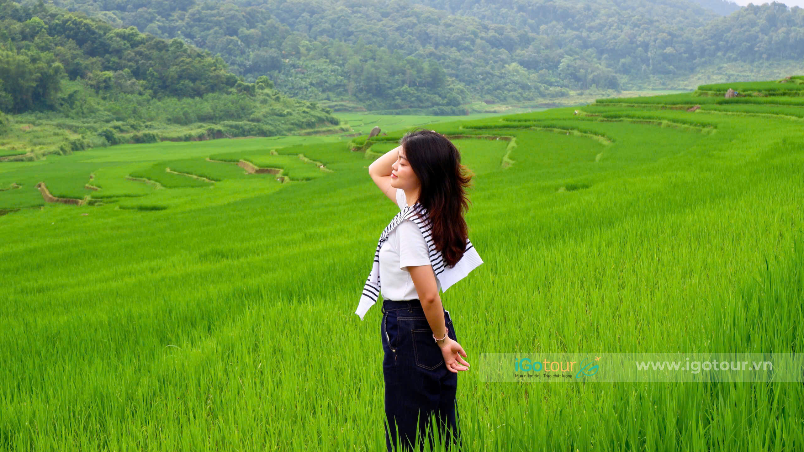 Check-in tại những thửa ruộng xanh mướt ở Pù Luông