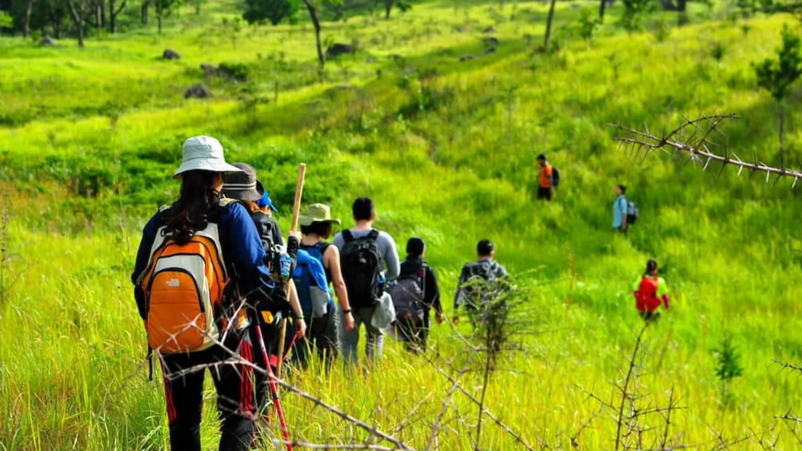 Trekking xuyên rừng và ngắm nhìn toàn cảnh Hang Rái từ trên cao (Nguồn: sưu tầm)