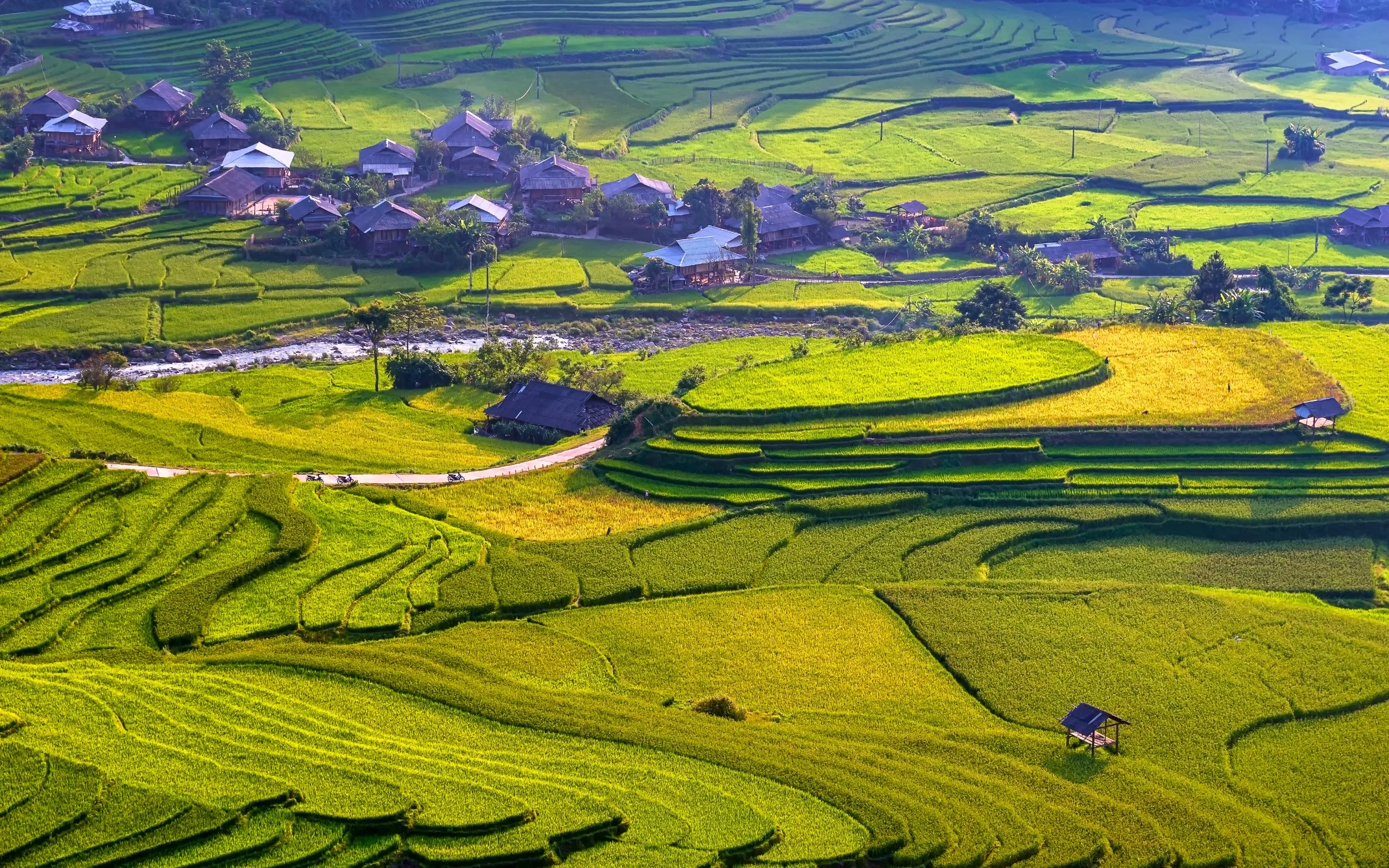 Du Lịch Miền Bắc Mùa Lúa Chín | Mù Cang Chải - Trạm Tấu (3N2D)