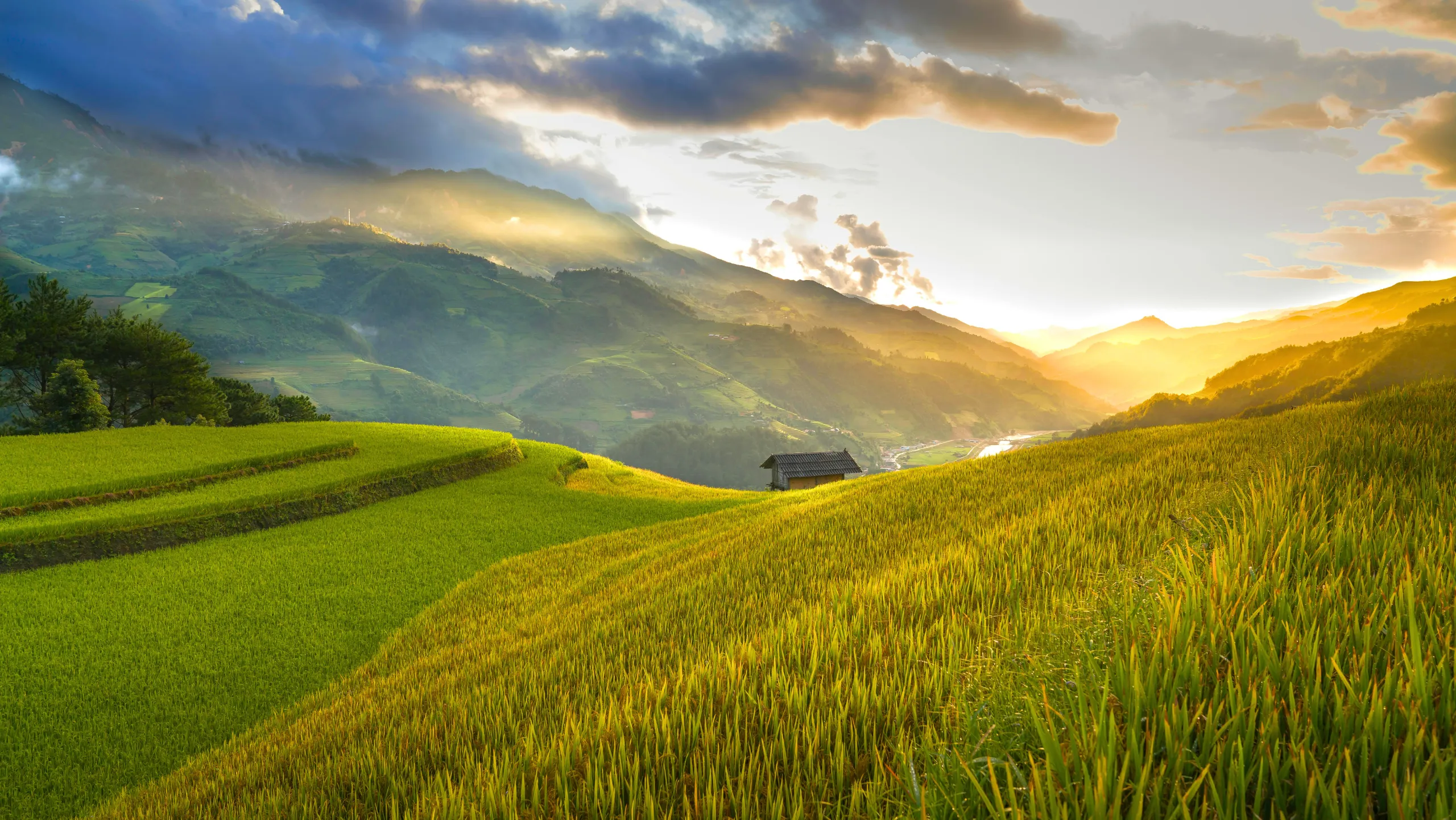 Khi lúa chín rộ là lúc cảnh sắc Tây Bắc vào mùa đẹp nhất trong năm (Nguồn: sưu tầm)