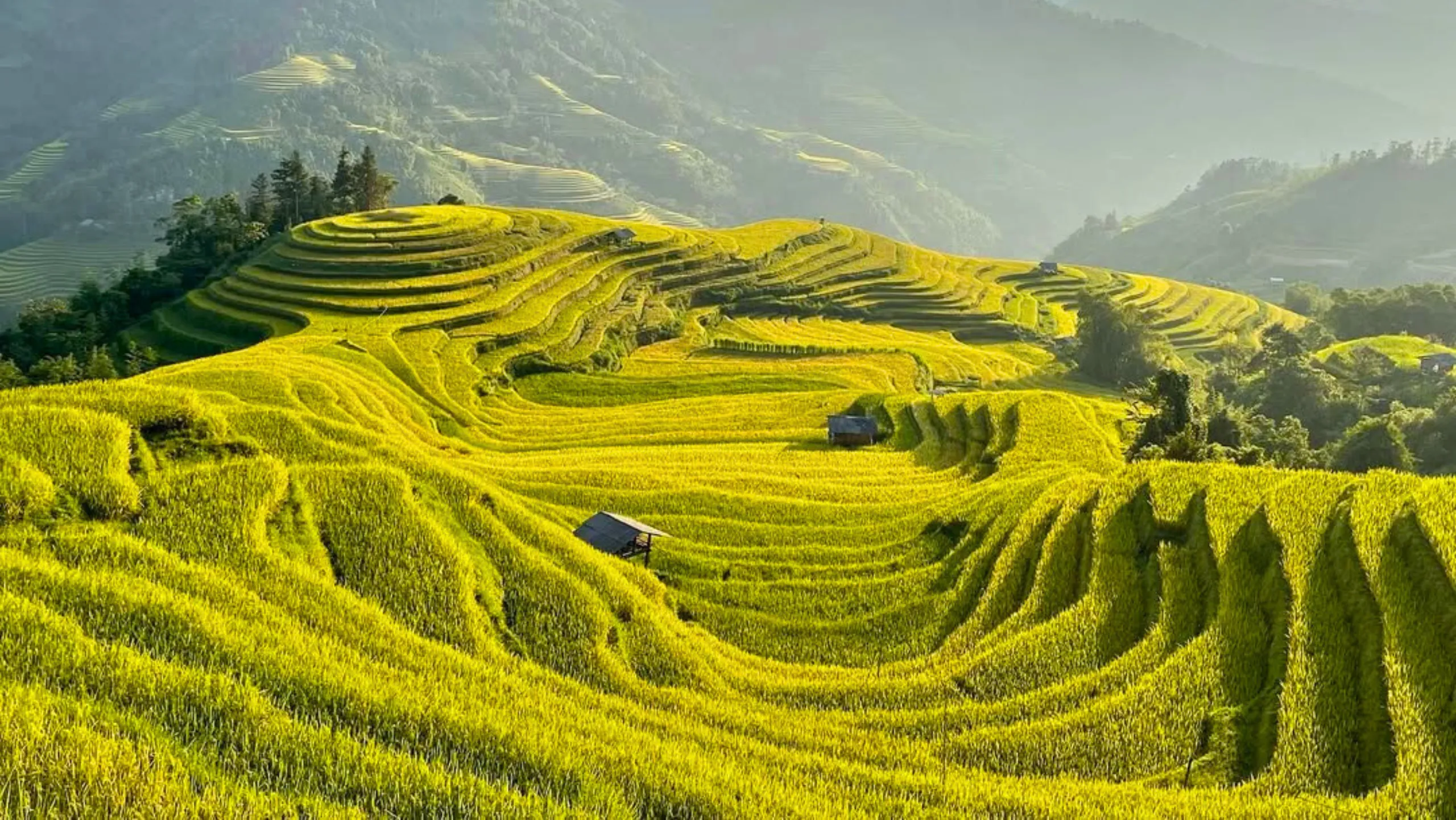 Ruộng bậc thang Hoàng Su Phì được công nhận là Di sản Quốc gia (Nguồn: sưu tầm)