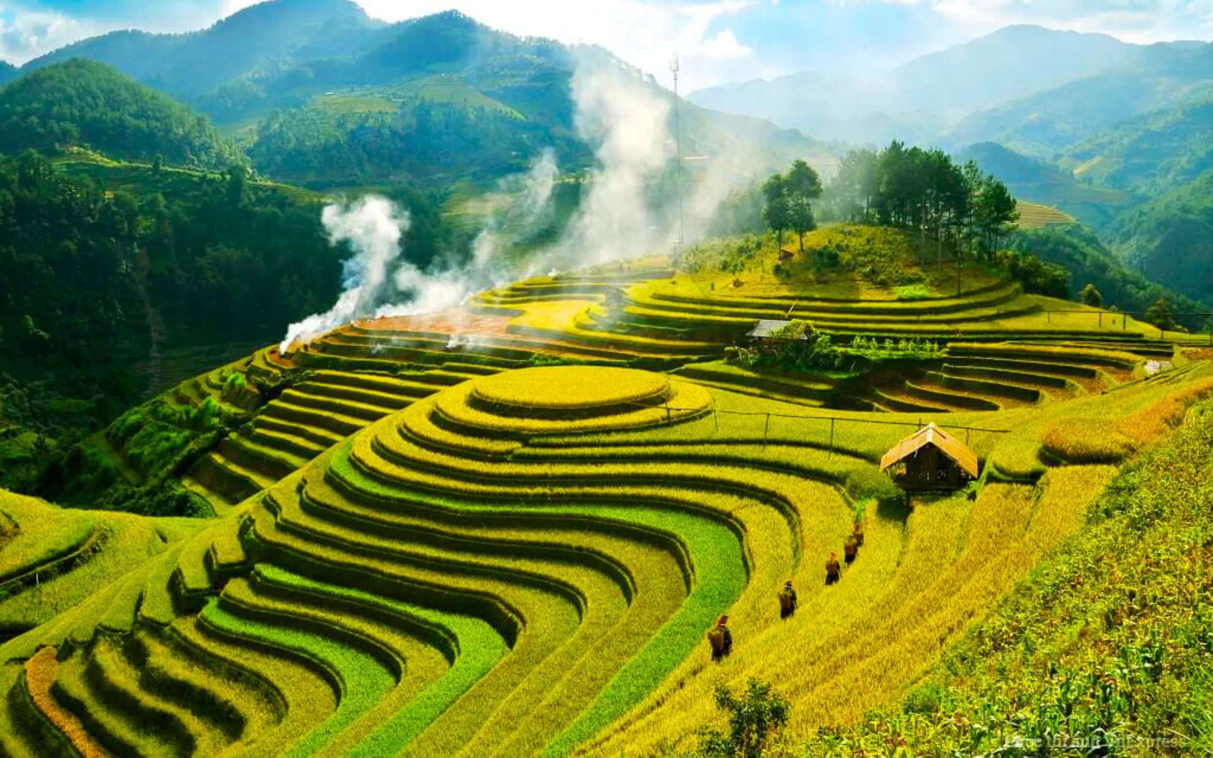 Mùa vàng Tây Bắc: Ngắm ruộng bậc thang rực rỡ nơi rẻo cao