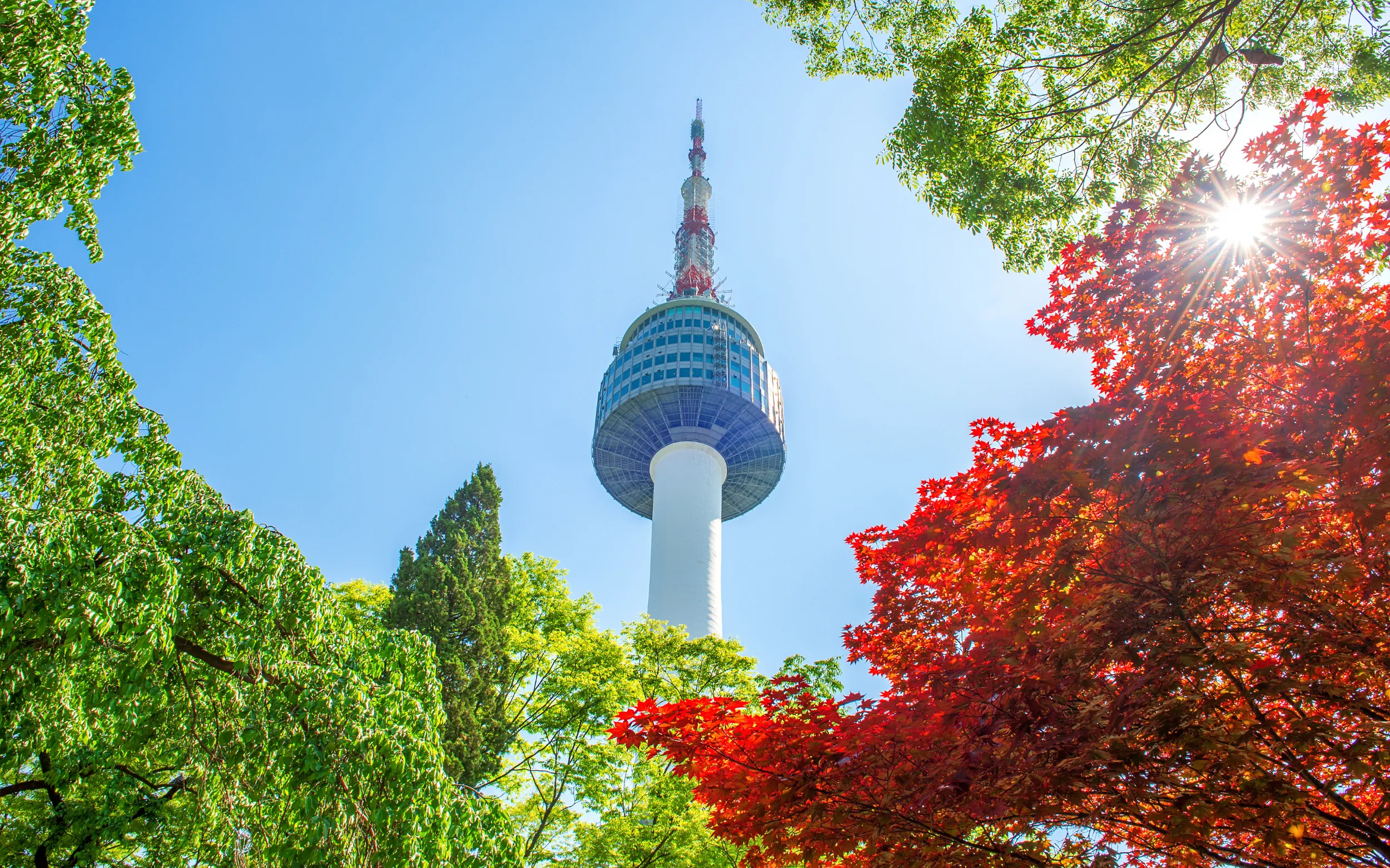 Du Lịch Hàn Quốc | Seoul - Đảo Nami - Everland (5N4D)