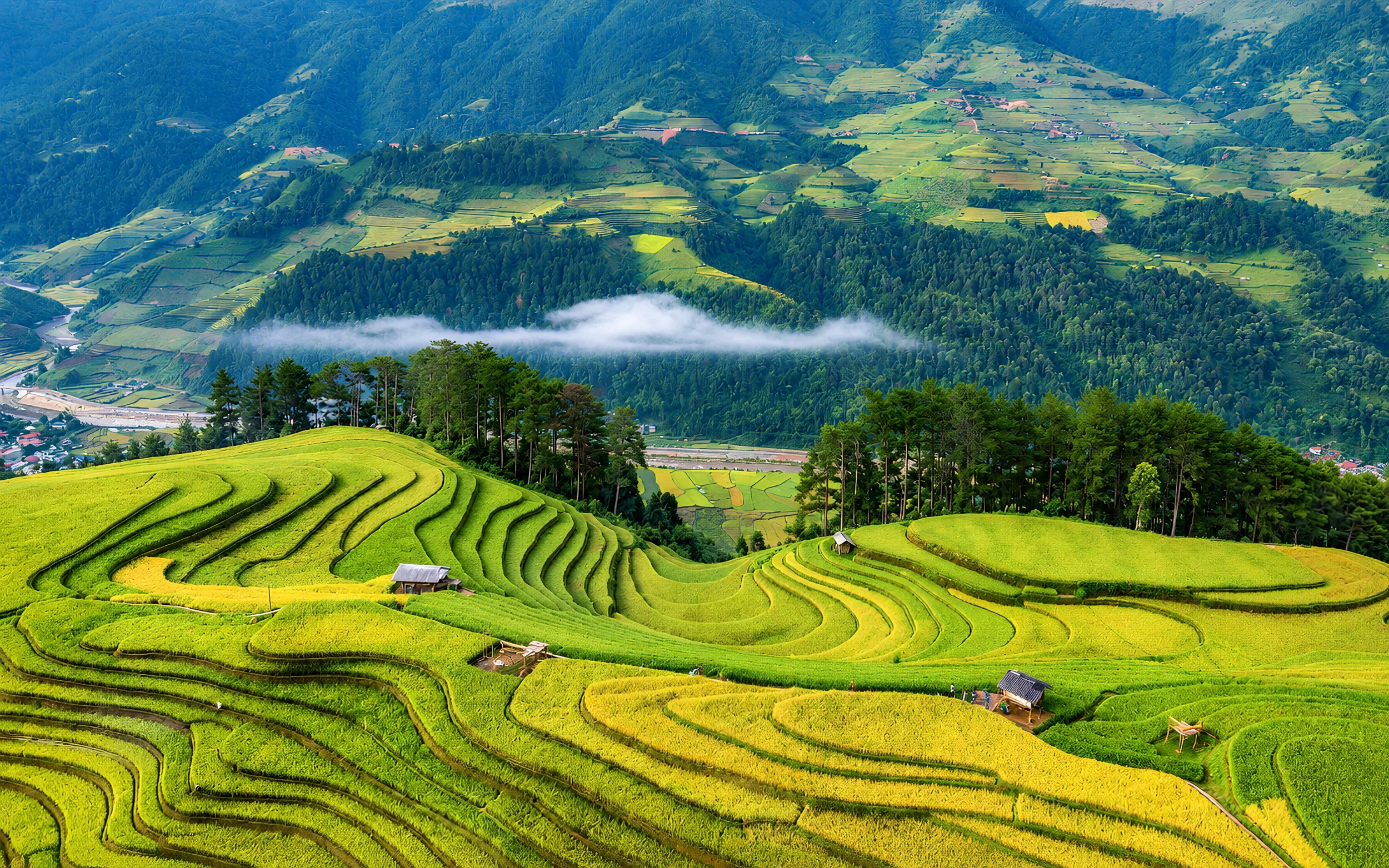 Tour Mùa Vàng | Mù Cang Chải - Fansipan (4N3Đ)