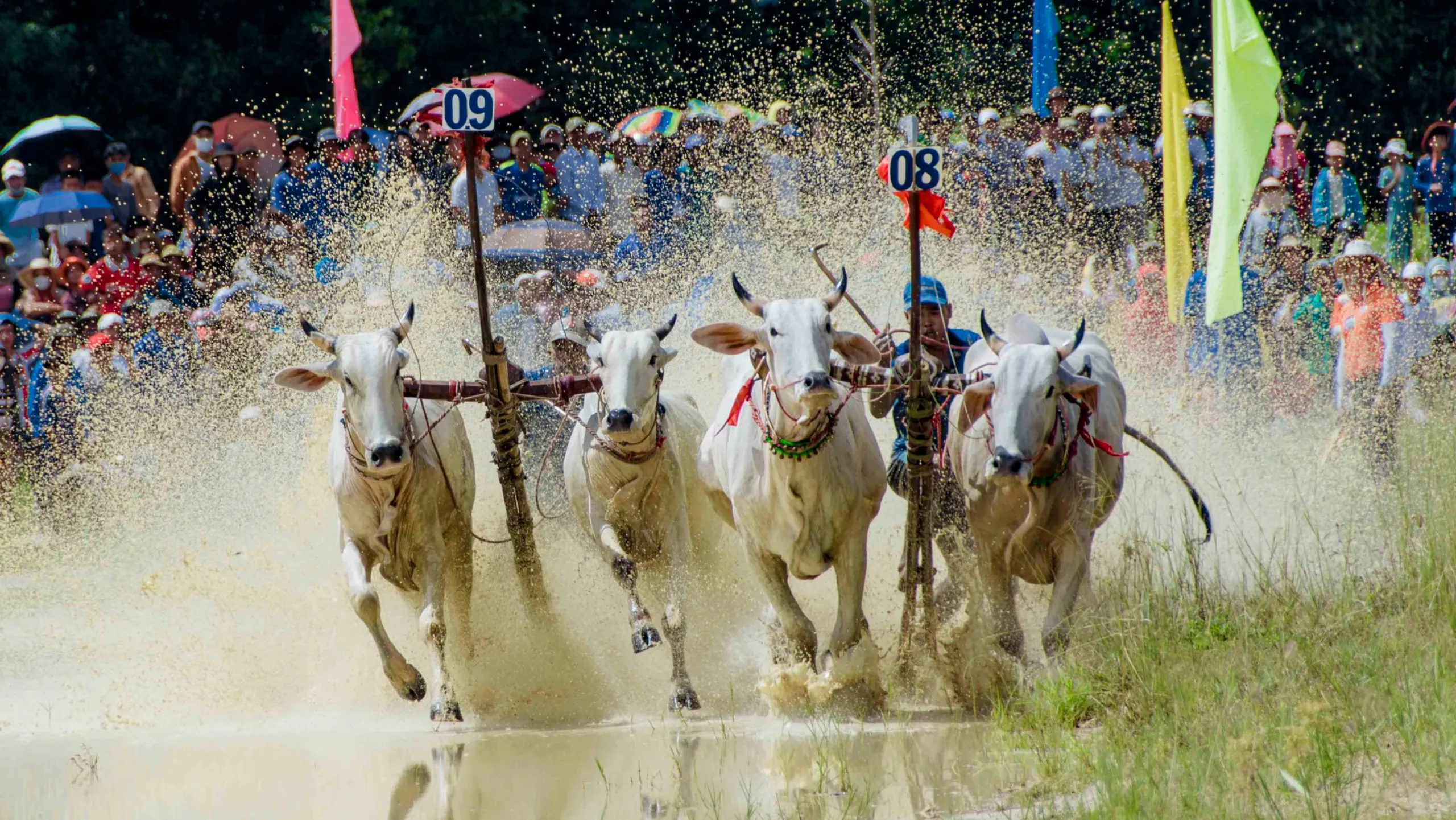 Sự kiện văn hóa, thể thao độc đáo và đầy sức hấp dẫn vùng Thất Sơn (Nguồn: sưu tầm)