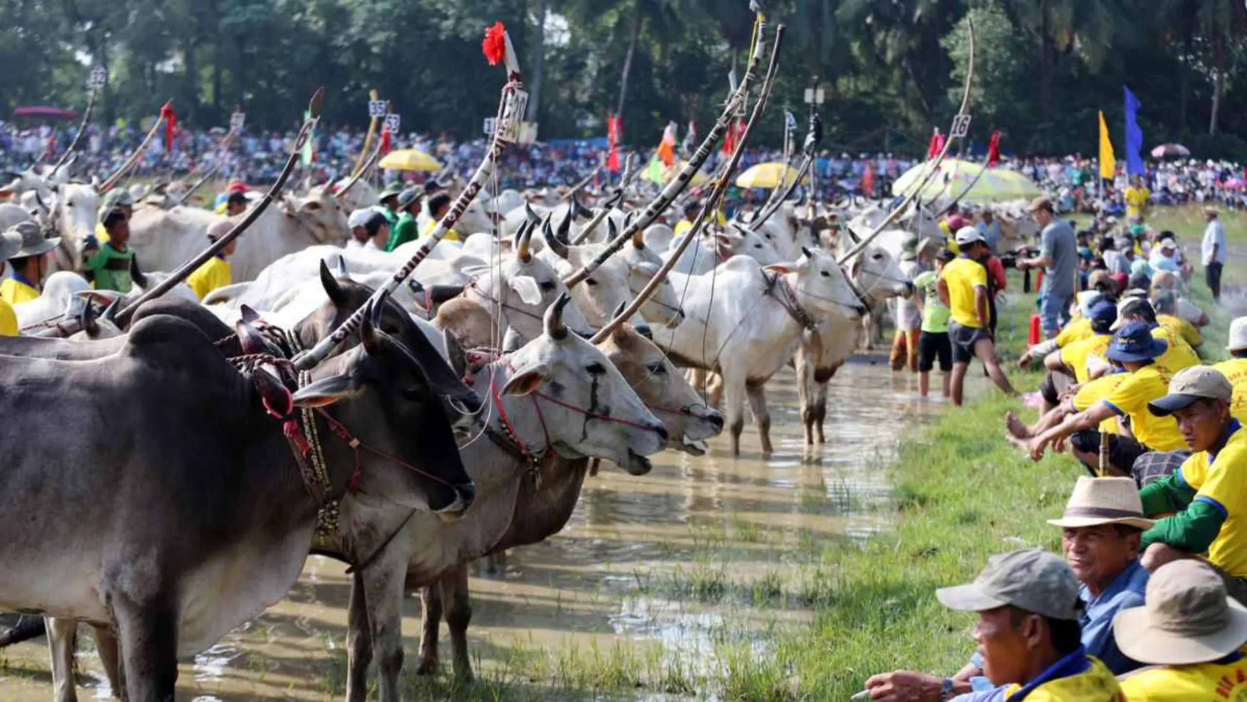 Du khách có thể tự do đến tham gia lễ hội (Nguồn: sưu tầm)