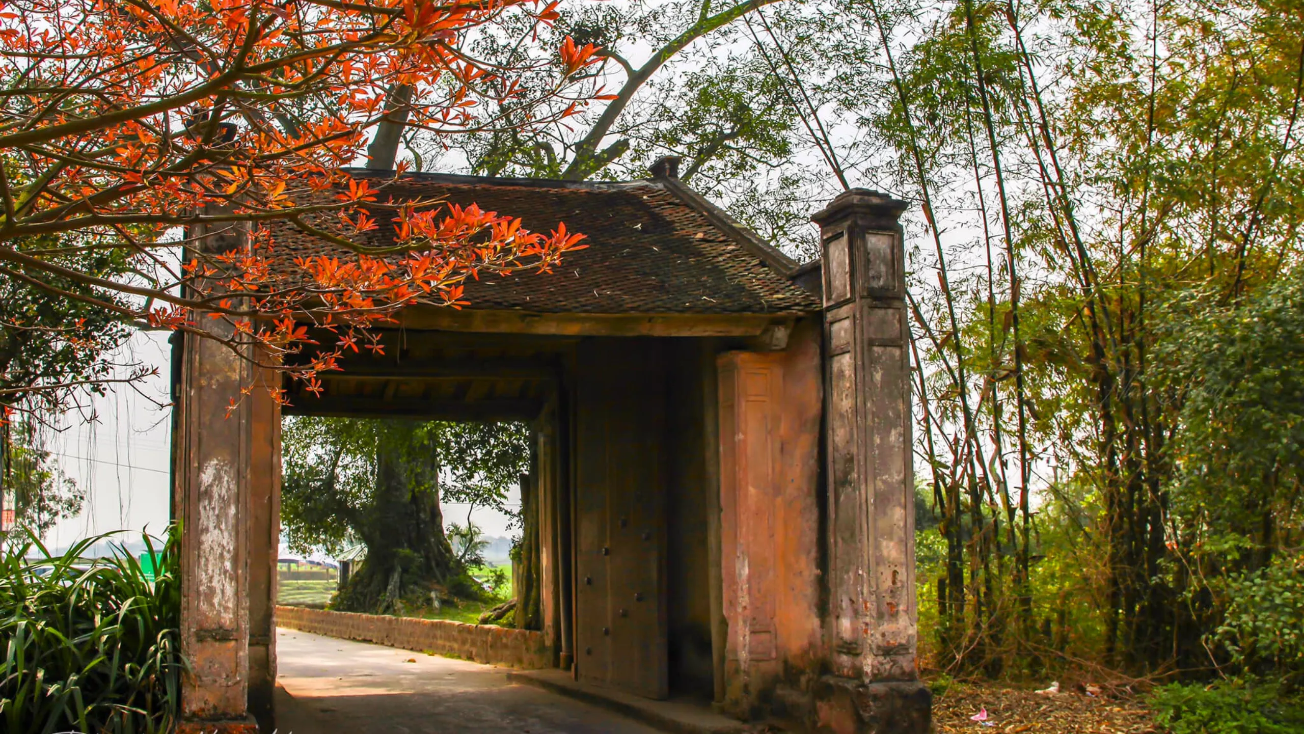 Được mệnh danh là một trong những "Tứ đại danh thôn" của Thủ đô (Nguồn: sưu tầm)