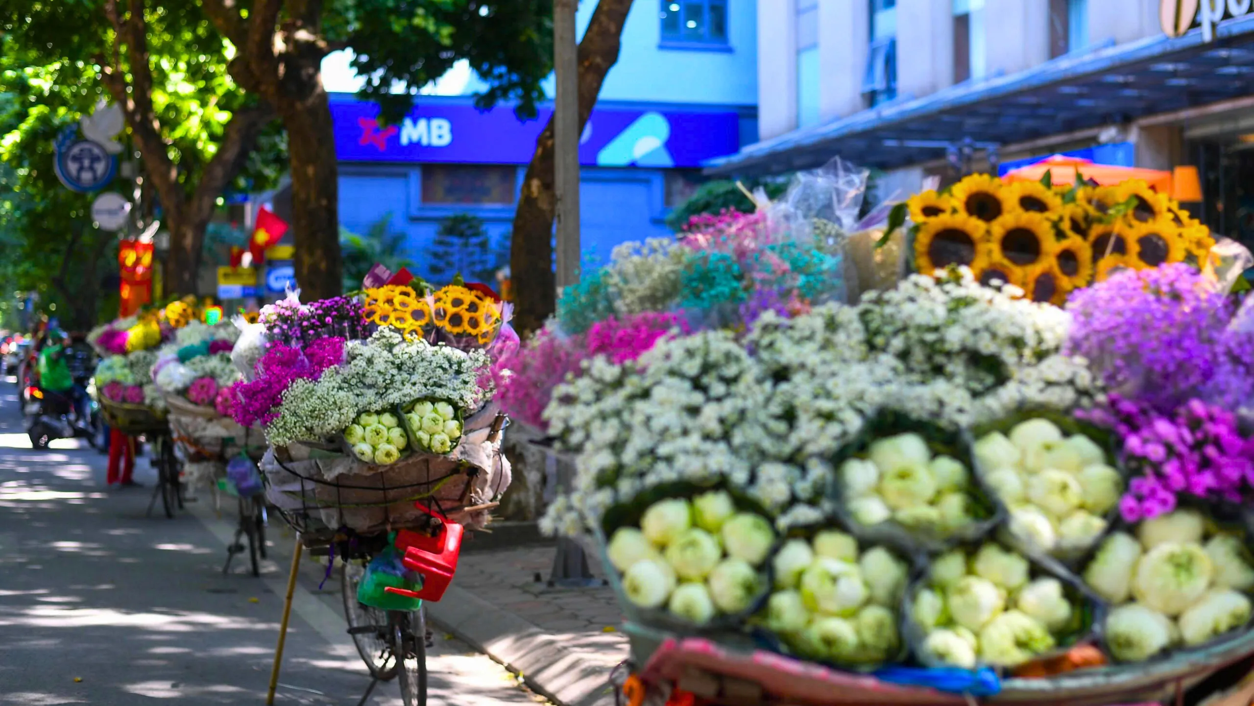 Nét duyên thầm của mùa thu Hà Nội (Nguồn: sưu tầm)