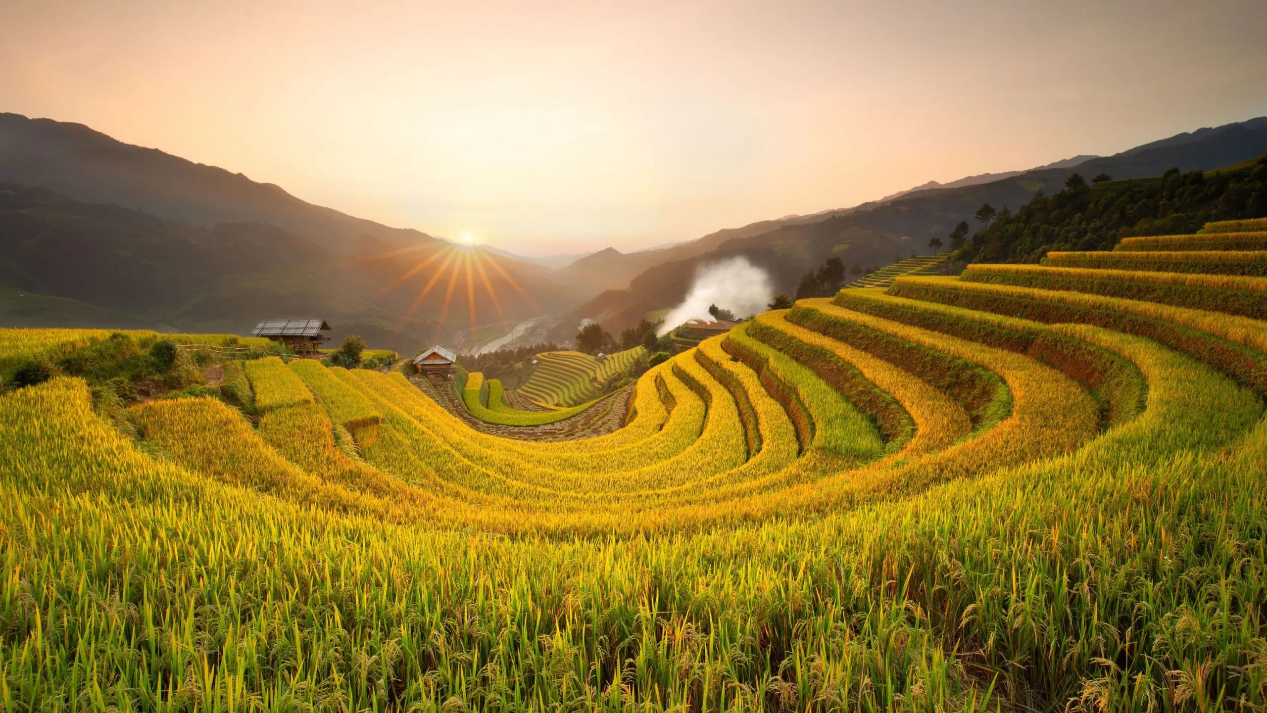 Đồi Móng Ngựa là điểm đến không thể bỏ lỡ khi mùa vàng gõ cửa (Nguồn: sưu tầm)