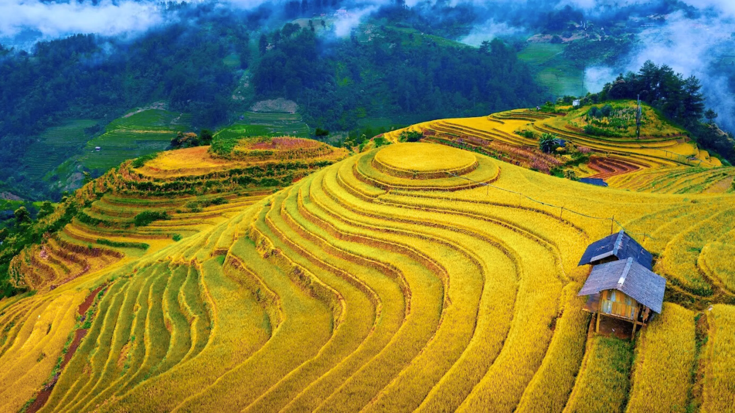 Lịch trình tour Mù Cang Chải 3 ngày 2 đêm chi tiết tại iGotour (Nguồn: sưu tầm)