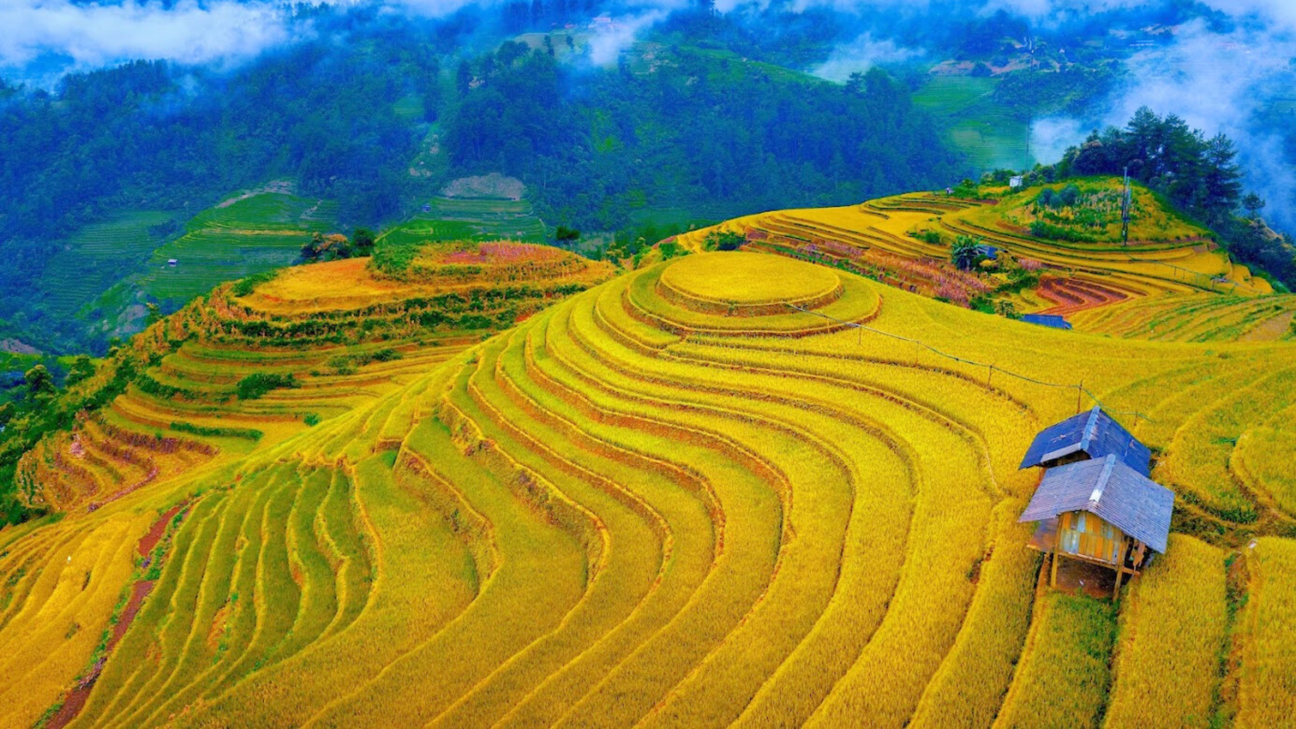 Lịch trình tour Mù Cang Chải 3 ngày 2 đêm chi tiết tại iGotour (Nguồn: sưu tầm)