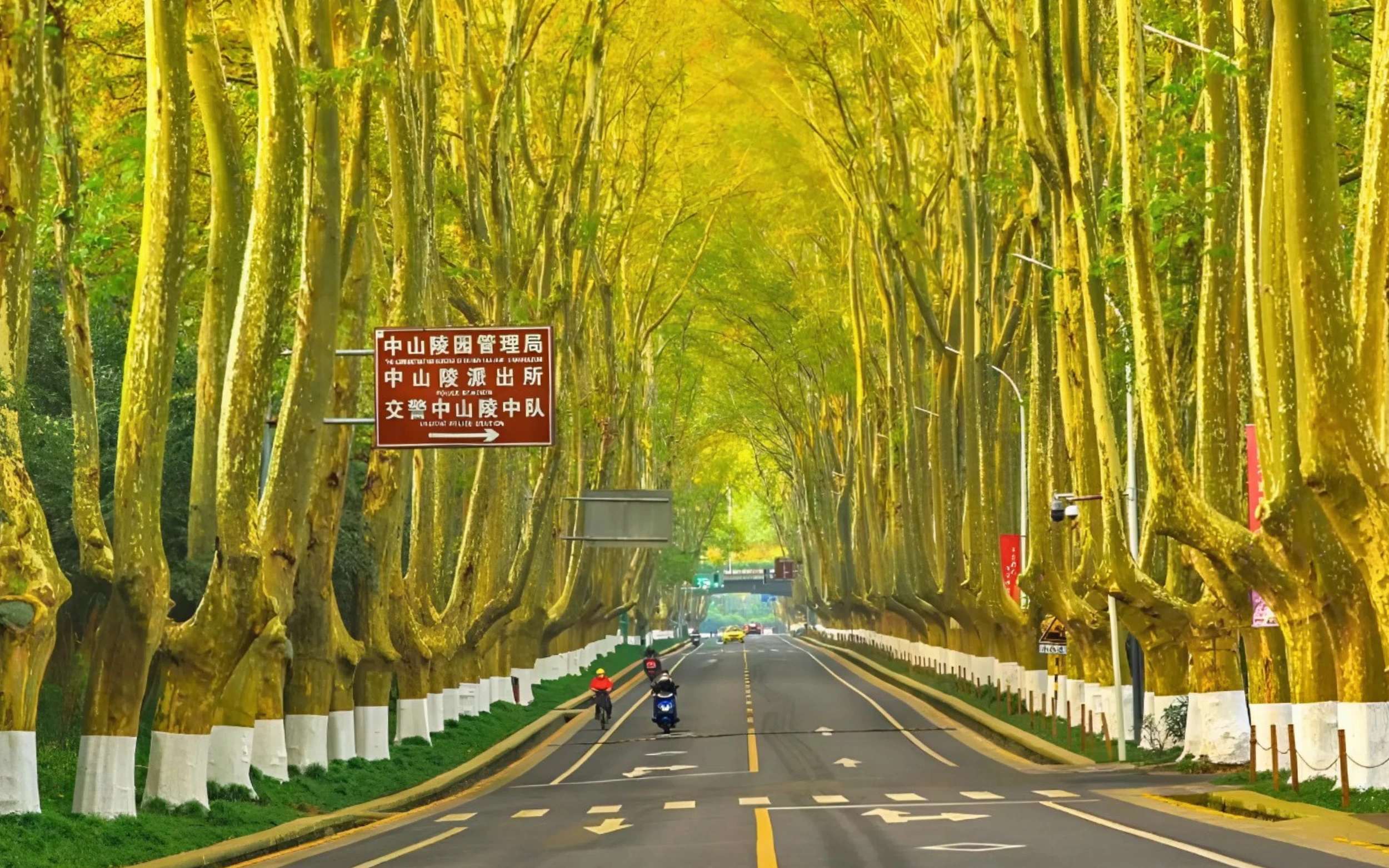 Du Lịch Trung Quốc | Nam Kinh - Ô Trấn - Thượng Hải (5N4D)