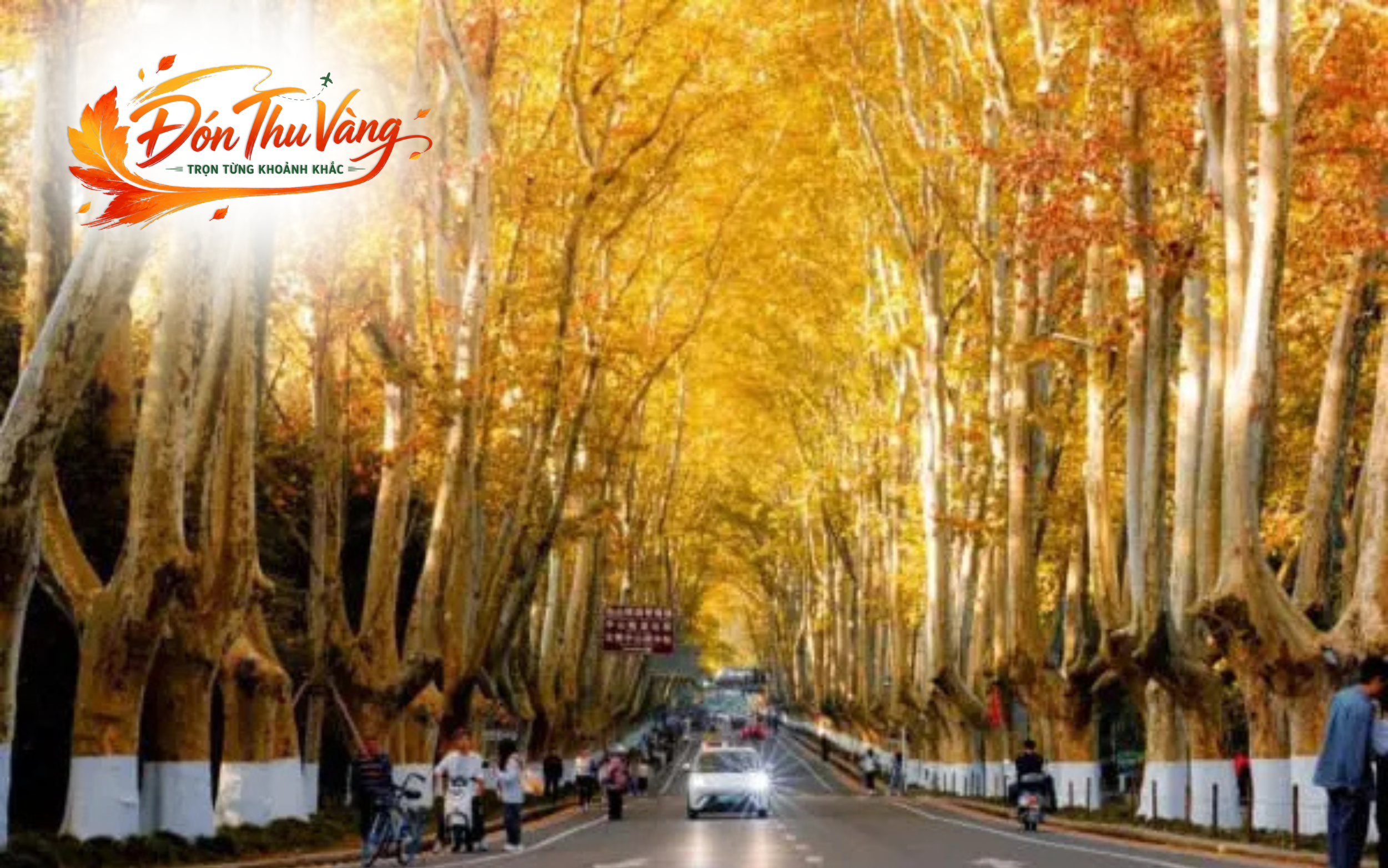 Du Lịch Trung Quốc | Nam Kinh - Hàng Châu - Ô Trấn - Thượng Hải - Freeday (5N4Đ-No Shopping)