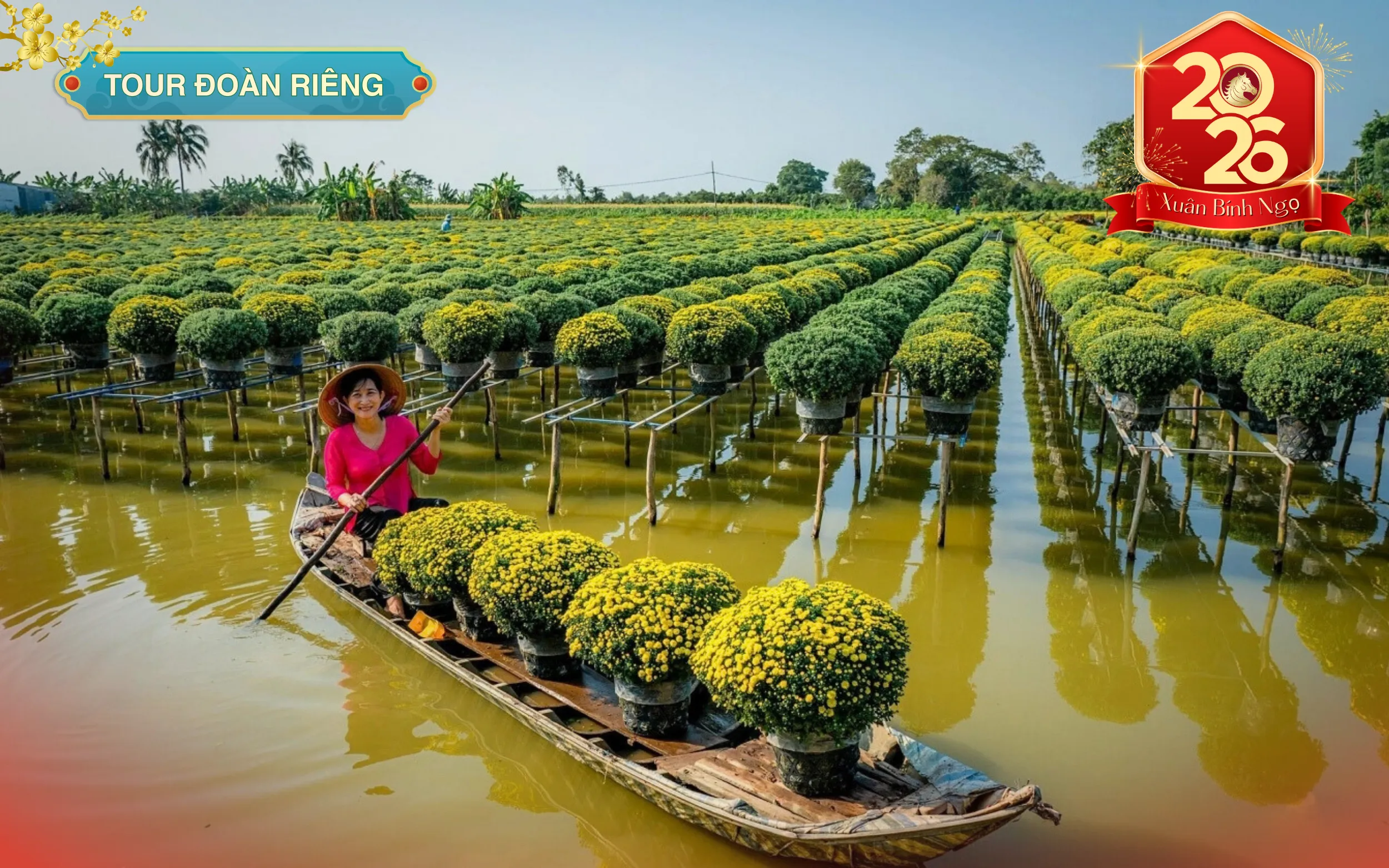 Tour Du Xuân Bính Ngọ | Làng Hoa Sa Đéc - Vườn Quýt Hồng Lai Vung (1 Ngày)