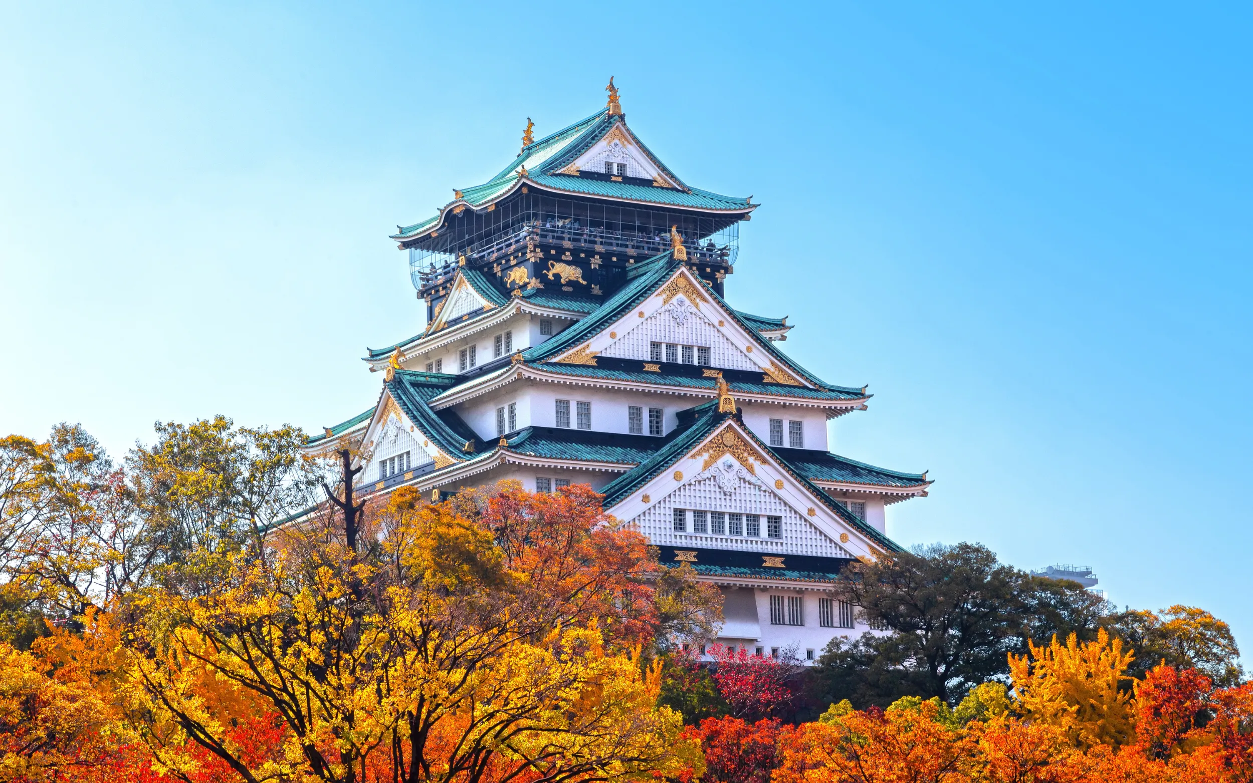 Du Lịch Nhật Bản | Kansai - Osaka - Tokyo - Narita (6N5Đ)