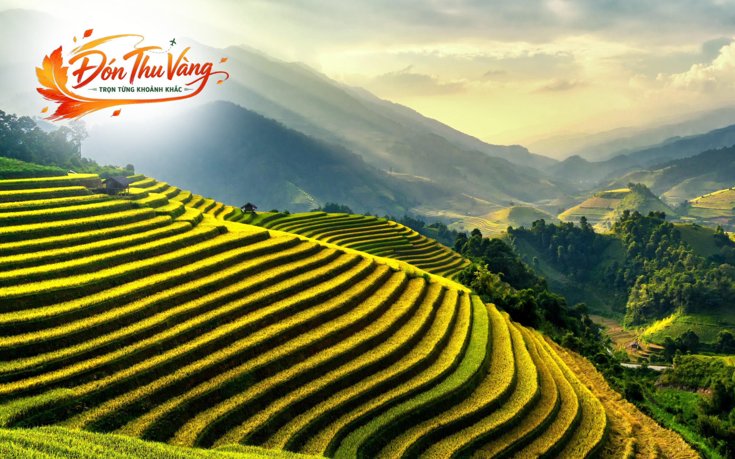 Tour Hàng Tuần | Hà Nội - SaPa-Fansipan - Bản Cát Cát (4N3Đ)