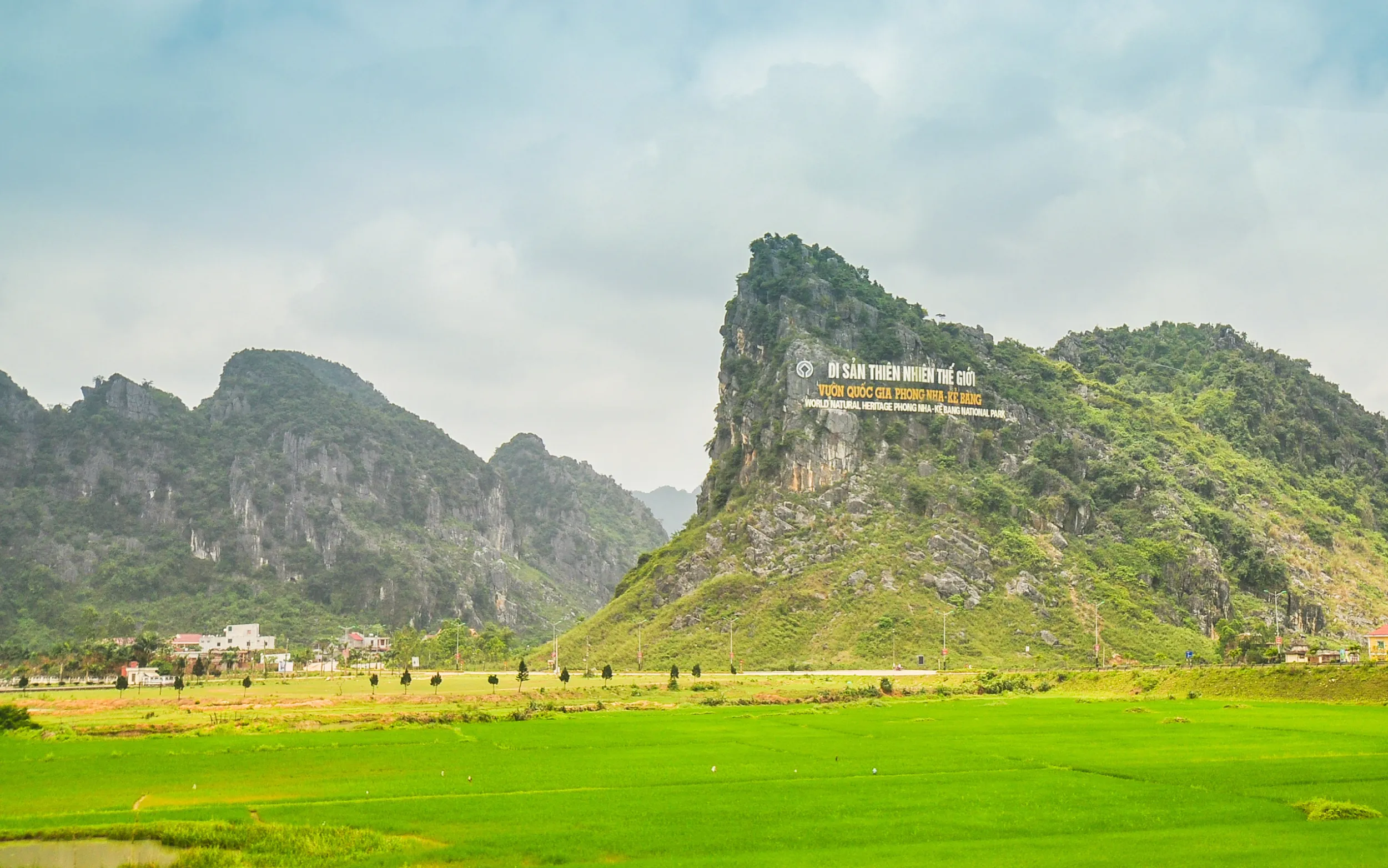 Tour Hàng Tuần | Đà Nẵng - Tự Chọn - Sơn Trà - Huế - Thánh Địa La Vang (4N3Đ)
