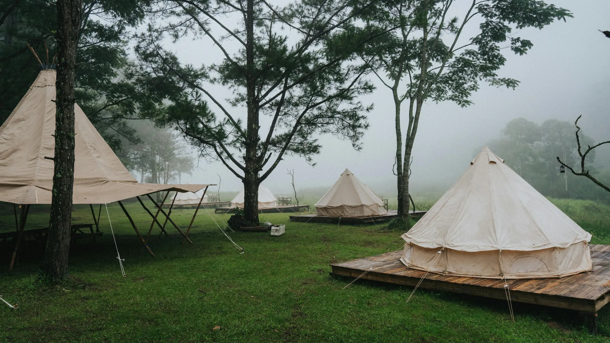 Những tọa độ Camping và Glamping sở hữu view "chữa lành" đỉnh nhất (Nguồn: sưu tầm)