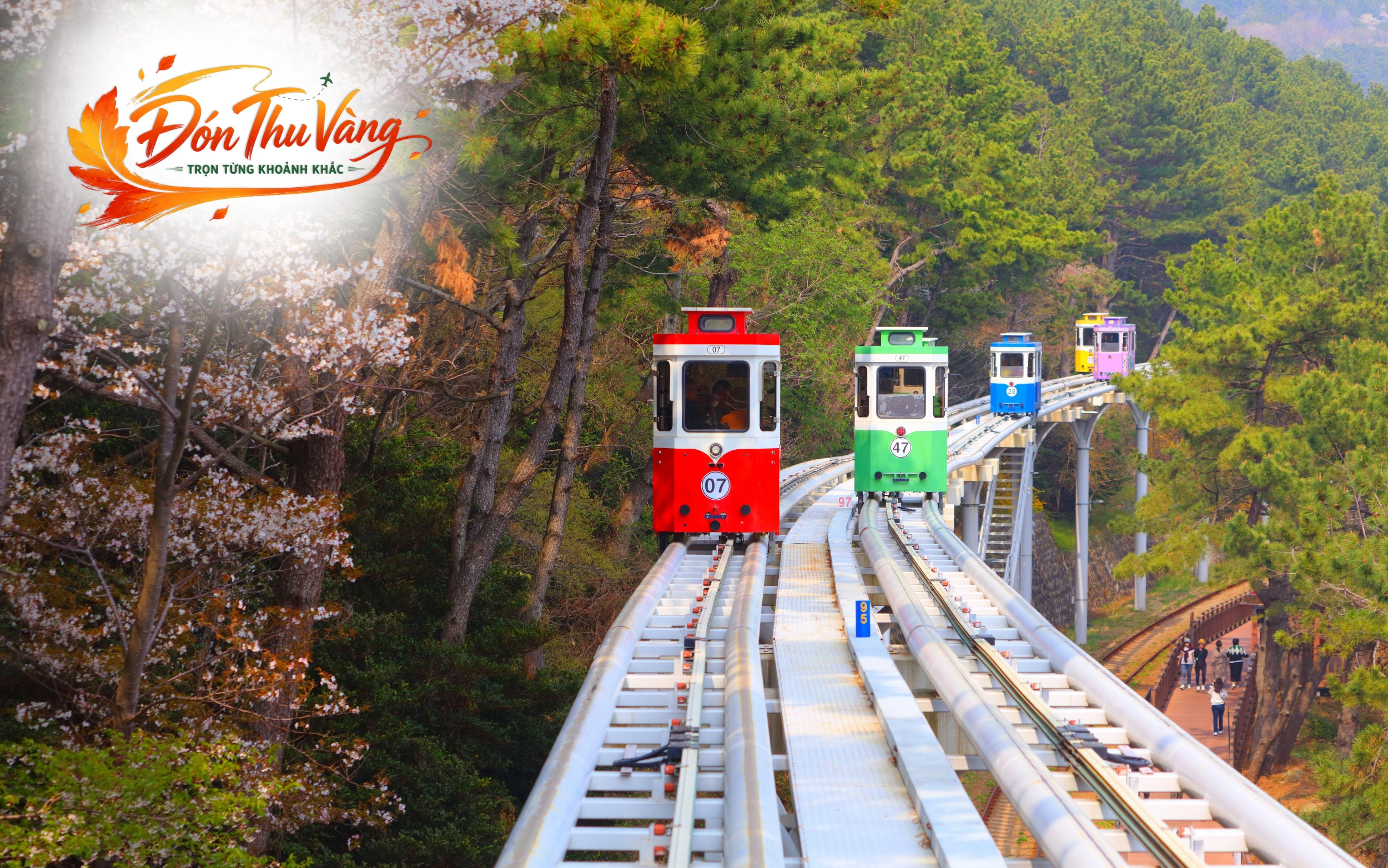 Du Lịch Hàn Quốc | Busan - Seoul - Incheon (6N5Đ)