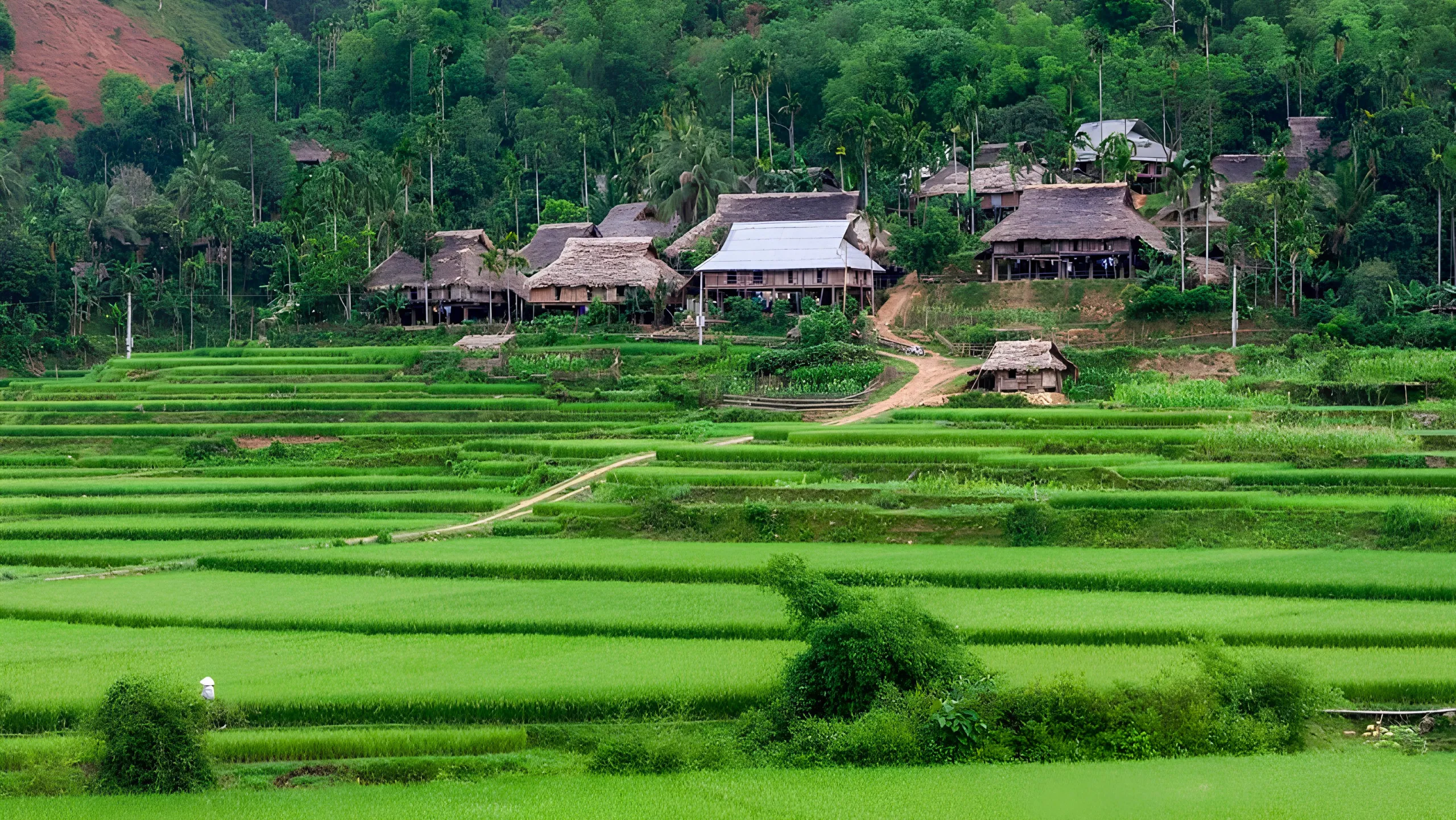 Pù Luông là một trong các khu bảo tồn thiên nhiên lớn của tỉnh Thanh Hóa (Nguồn: sưu tầm)