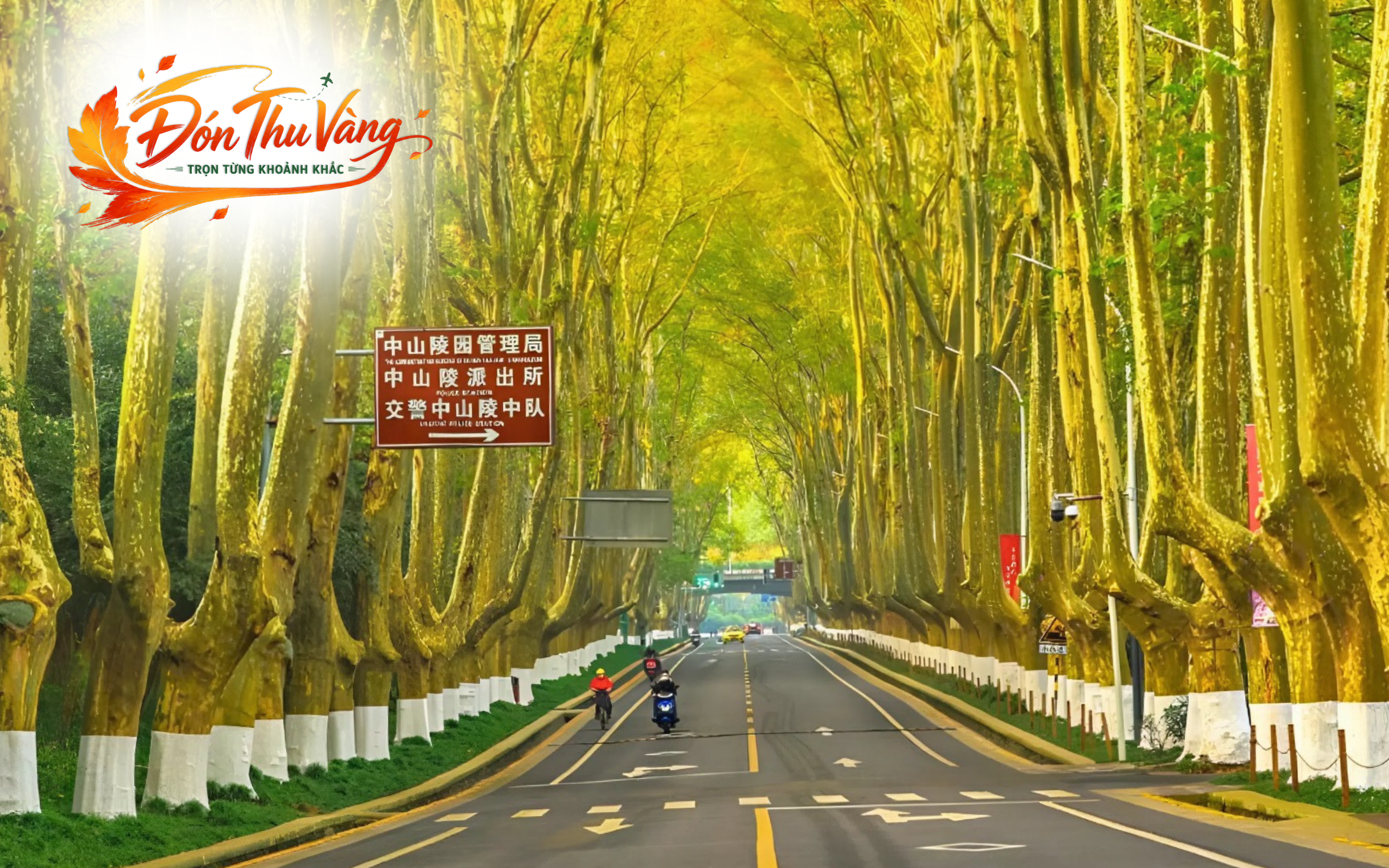 Du Lịch Trung Quốc | Nam Kinh - Hàng Châu - Ô Trấn - Thượng Hải (6N5Đ-No Shopping)