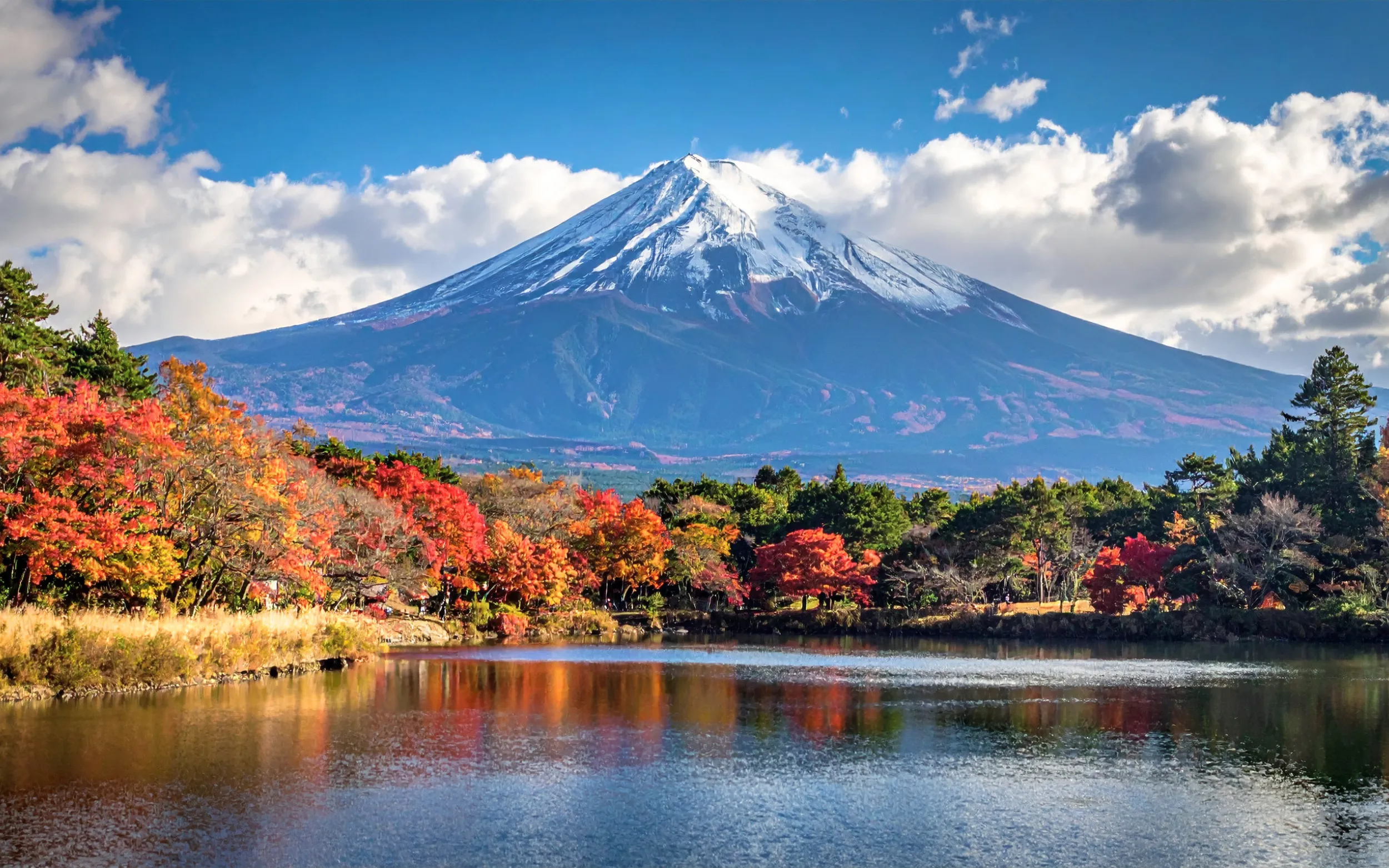 Du Lịch Nhật Bản | Osaka - Núi Phú Sĩ - Tokyo (6N5Đ)