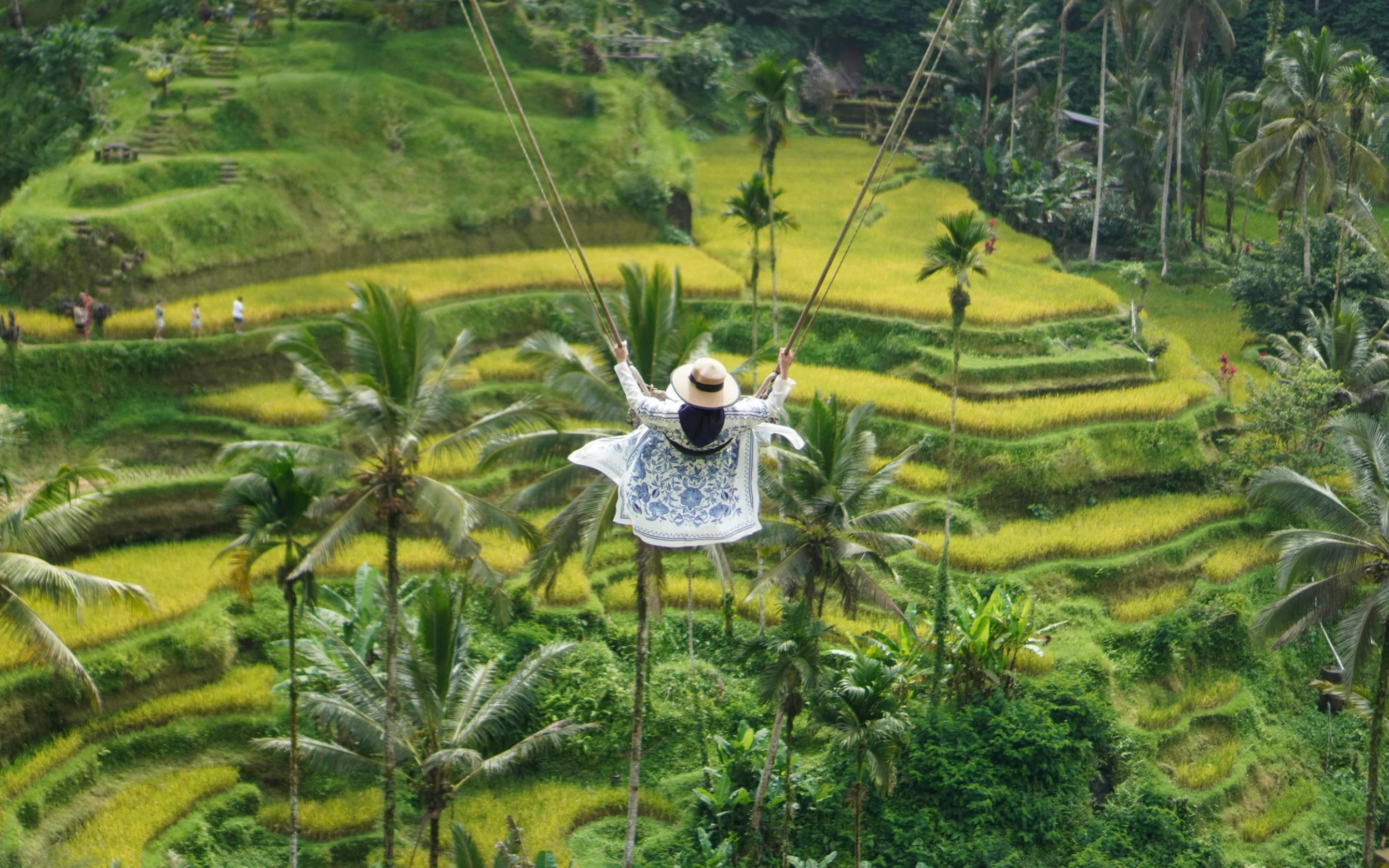 Tour hàng tuần | Bali - Tanah Lot - D'Tukad Club - Thác Ayung (4N3Đ)